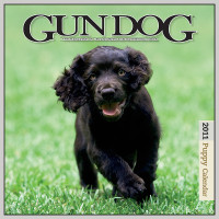 2011 GUN DOG PUPPY CALENDAR