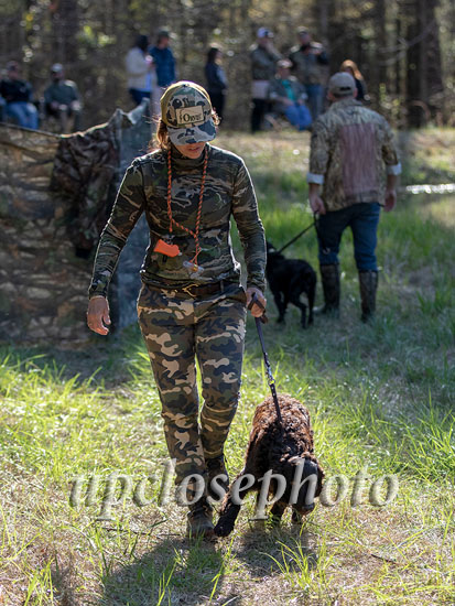 35_Forest_008_bssn19_PUP